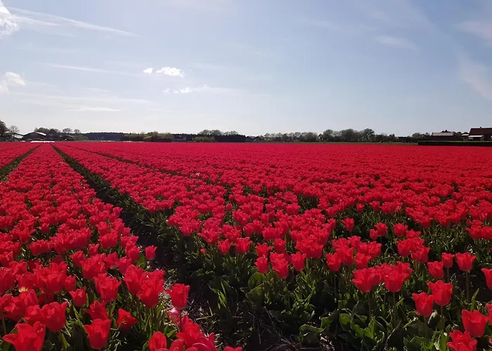 Kust-, Fiets-, Wandel-, Rust- & Cultuurlocatie