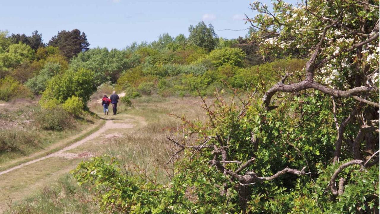 Kust-, Fiets-, Wandel-, Rust- & Cultuurlocatie Castricum