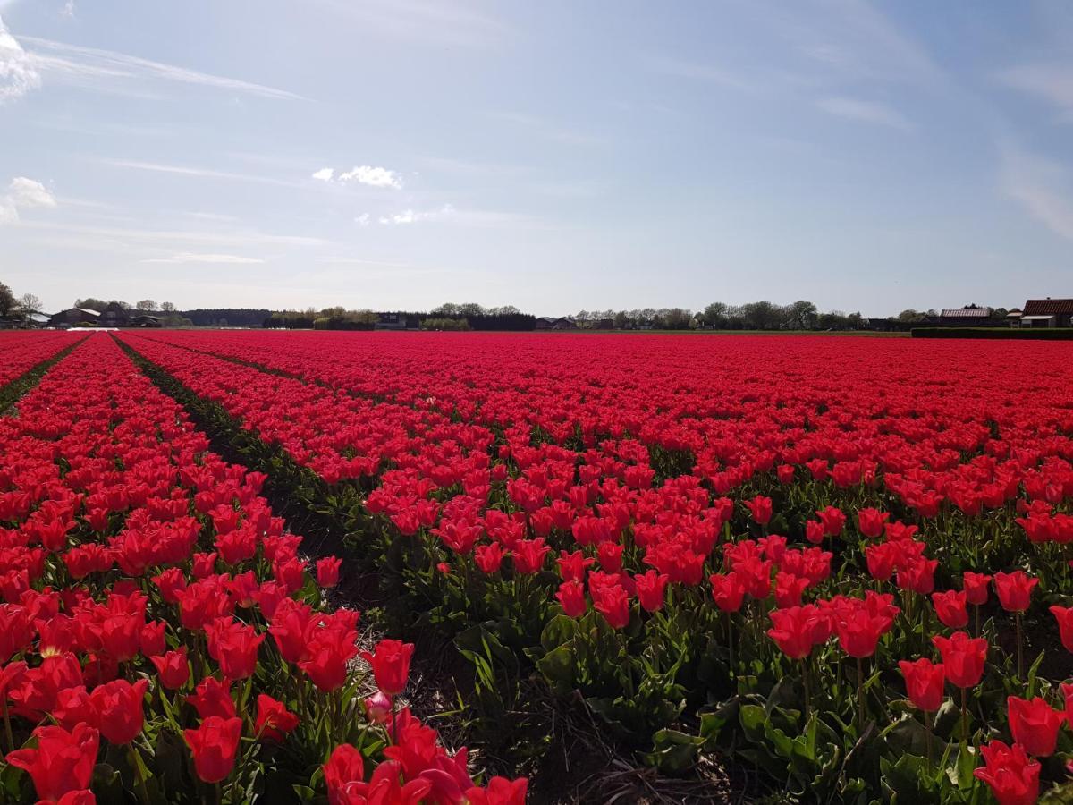Kust-, Fiets-, Wandel-, Rust- & Cultuurlocatie Castricum